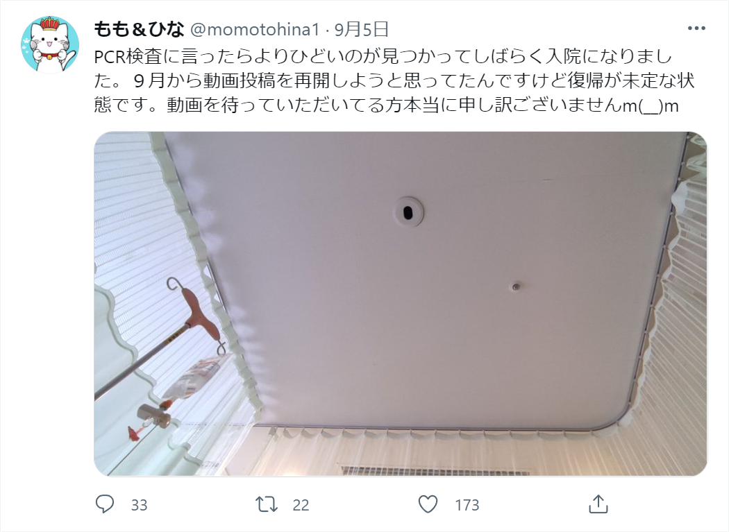 momohina_twitter_3.png momohina_twitter_3.png